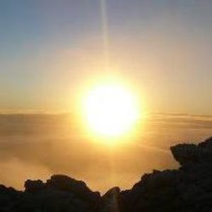 Meet your Posher, Peter